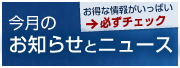 お得な情報がいっぱい　今月のニュースとお知らせ